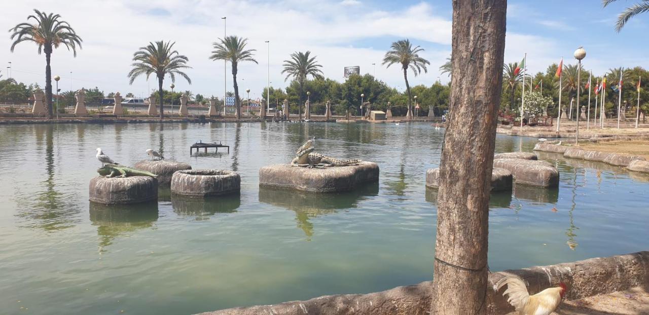 Schoene Wohnung Mit Pool , Wi-Fi Und Privat Garage Torrevieja Zewnętrze zdjęcie